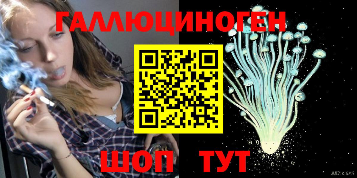 Кропоткин  Галлюциногенные грибы Psilocybine cubensis  Вход с VPN 