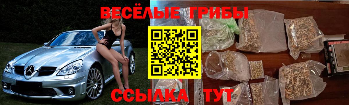 Галлюциногенные грибы Magic Shrooms Кропоткин